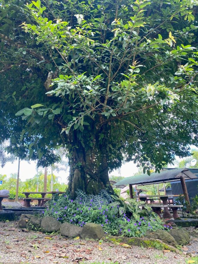 Termales Del Arenal Hotel La Fortuna Buitenkant foto